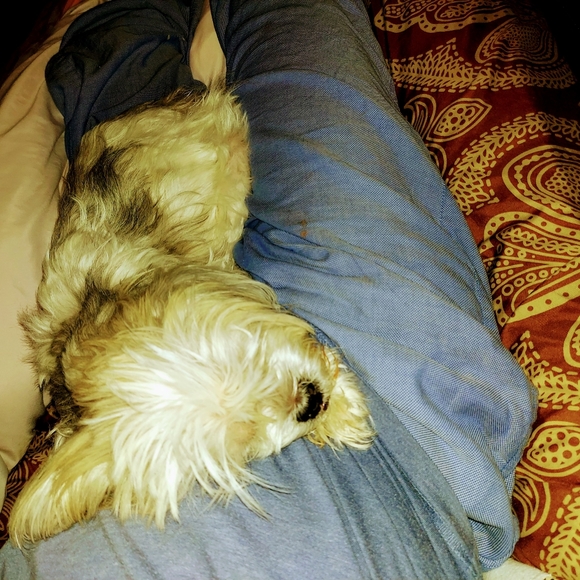 Meet your Posher, Sheldon - Picture 16 of 16